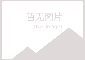 兴山区残留工程有限公司